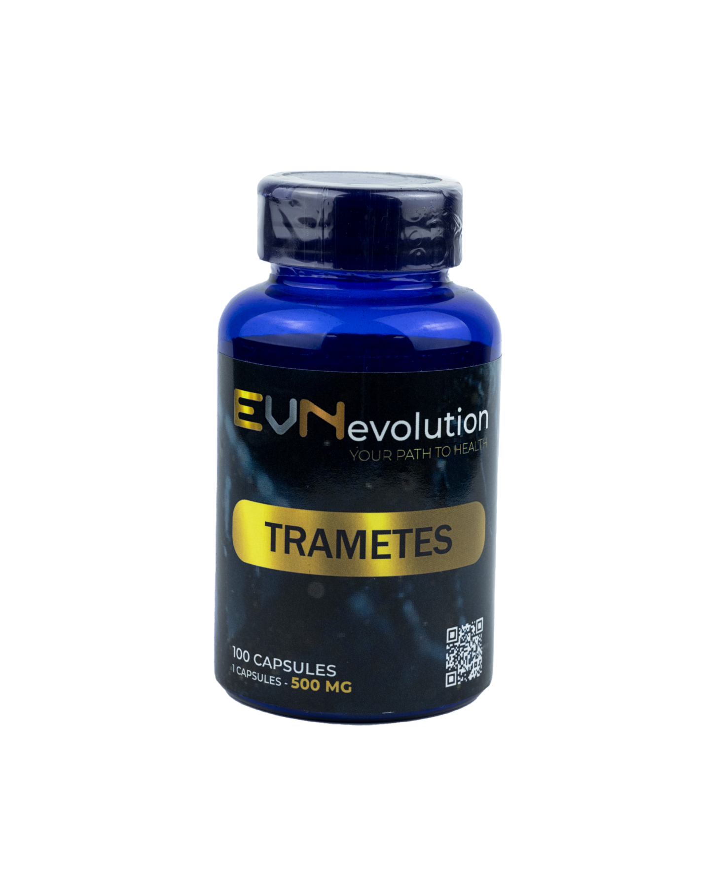 33 trametes scaled e1770555746258.png 33 trametes scaled e1770555746258.png